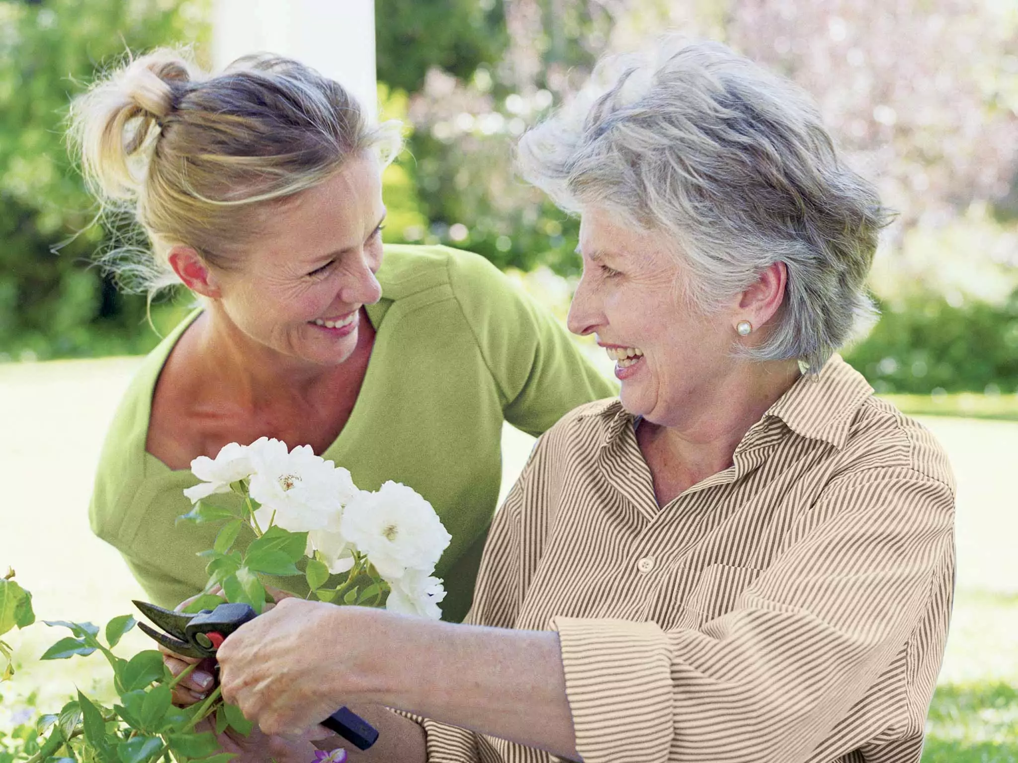 Mission Statement Image